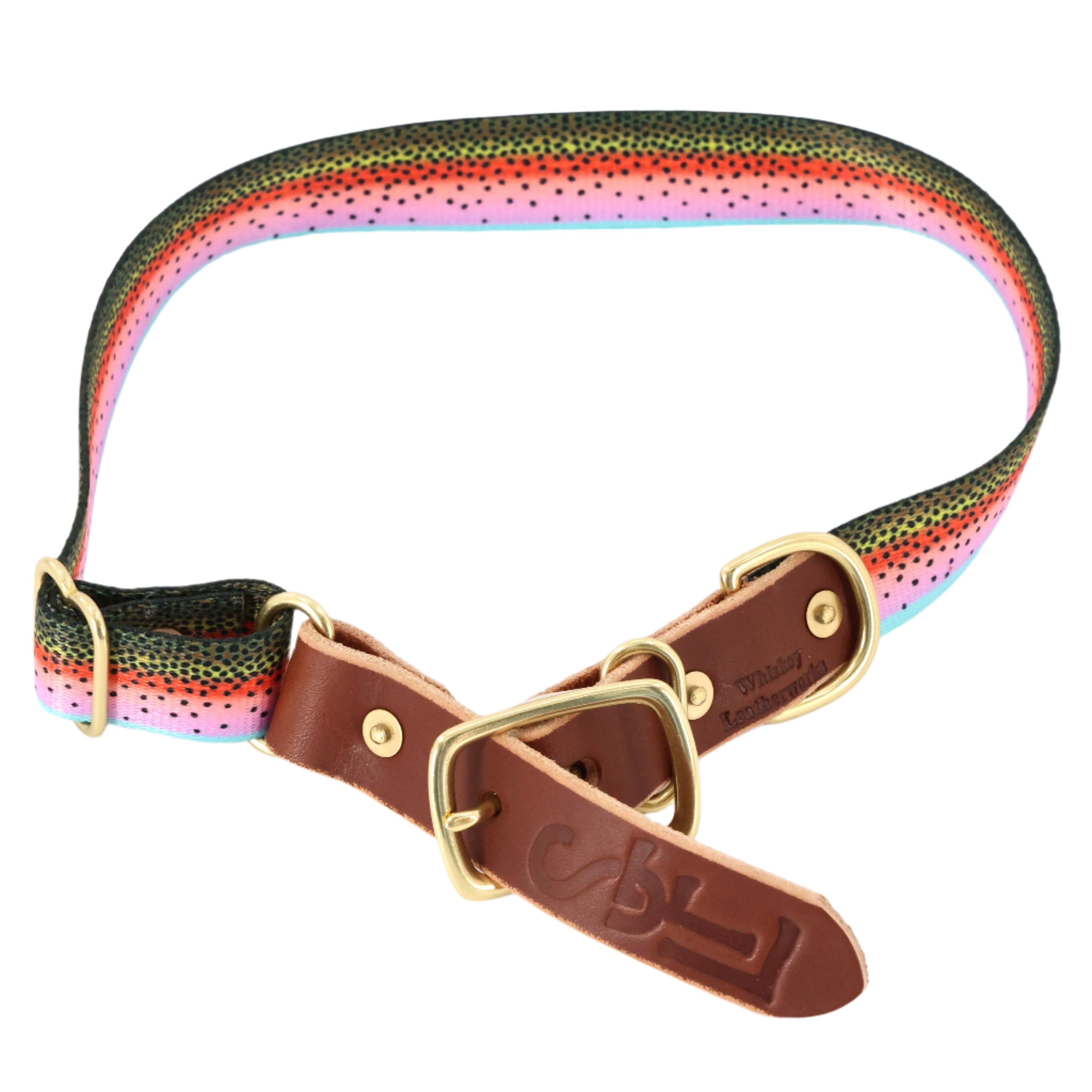 SFL Dog Collars - Large (15.5"-24") - Rainbow Trout – South Fork Lodge