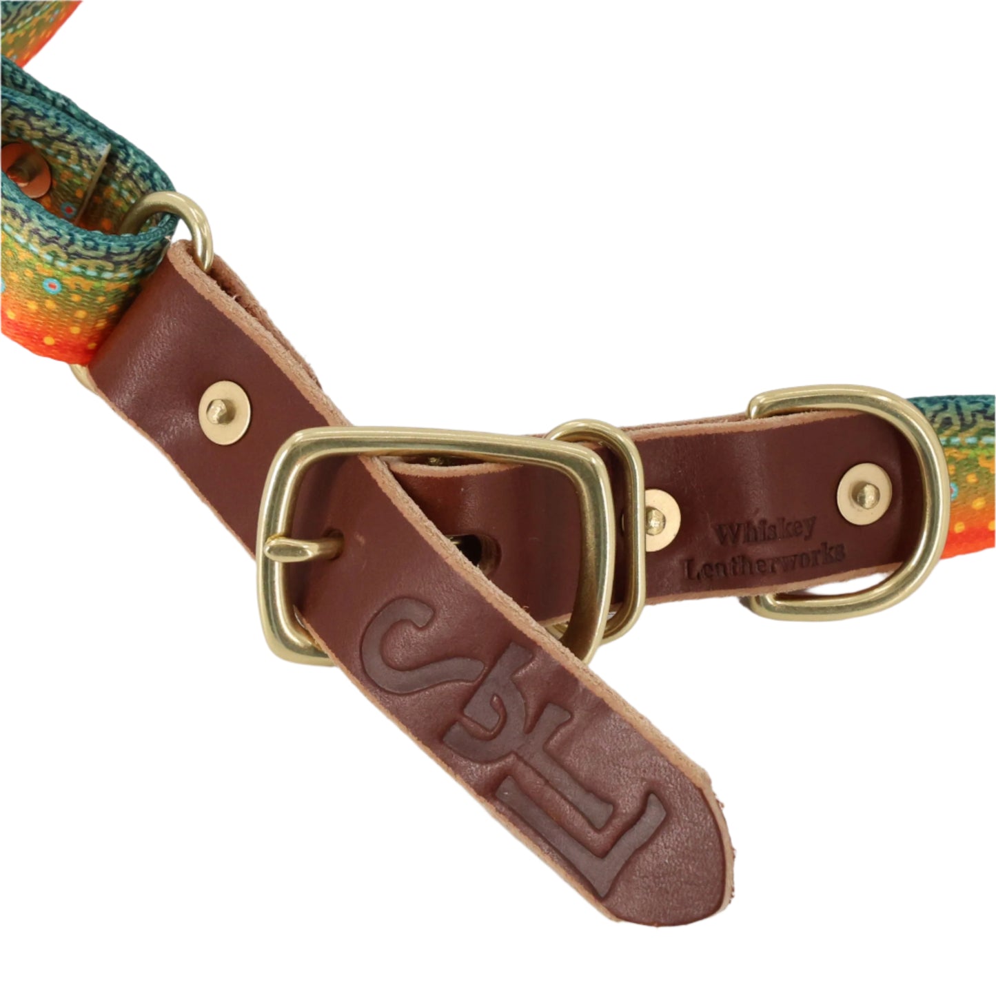 South Fork Lodge Dog Collars - Large (15.5"-24") - Brook Trout