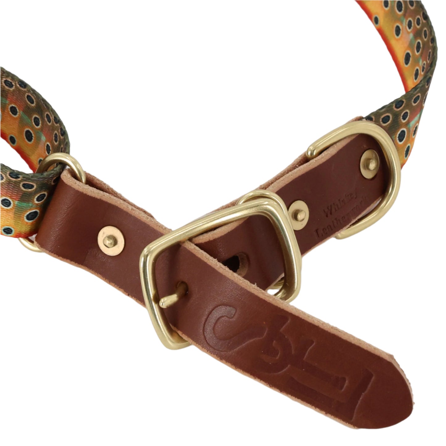 SFL Dog Collars - Large (15.5"-24") - Cutthroat Trout