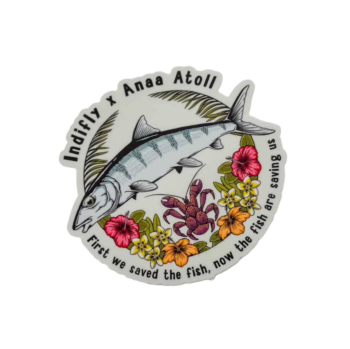 Indifly x Anaa Atoll Sticker