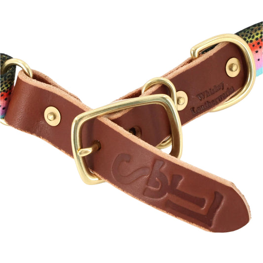 South Fork Lodge Dog Collars - Large (15.5"-24") - Rainbow Trout