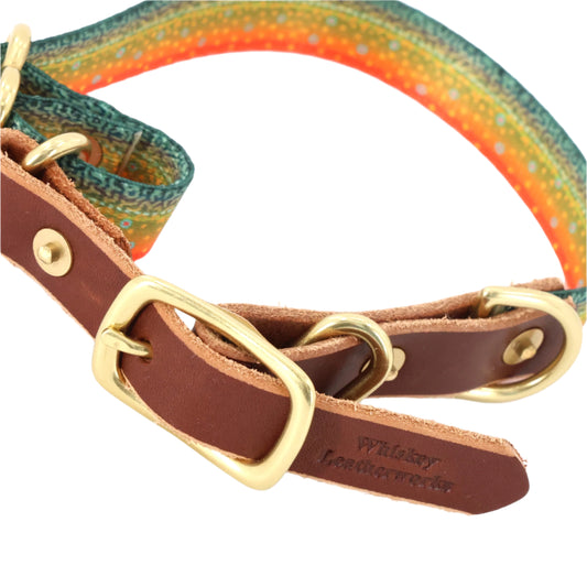 South Fork Lodge Dog Collars - Small (11.5"-16") - Brook Trout
