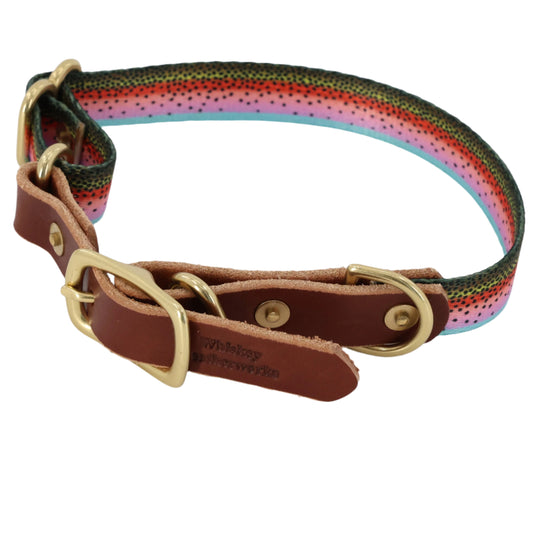 South Fork Lodge Dog Collars - Small (11.5"-16") - Rainbow Trout